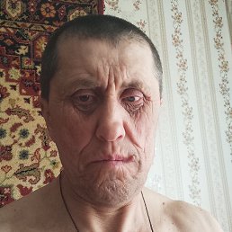 ����, ������, 41 ���