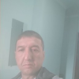 , 44, 