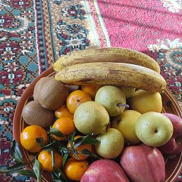 ������, �����-���������, 51 ���