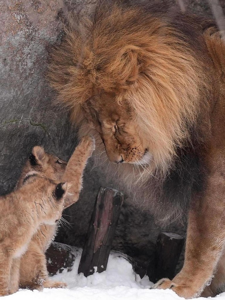   - 5  2025  15:25 - 6