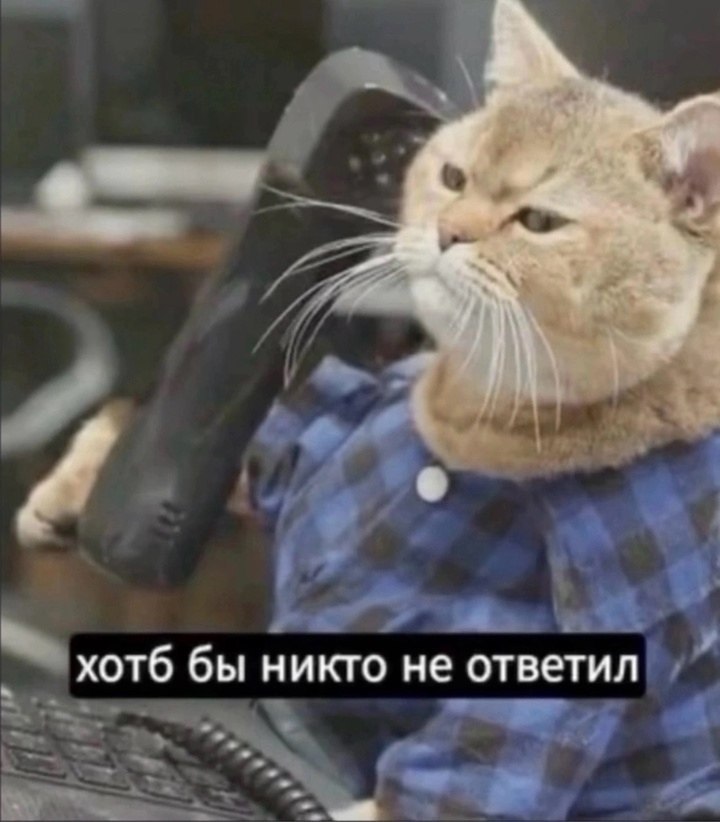      ,   - 6