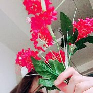 �����, 29 ���, ���������