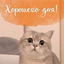 ���� ����, �������, 51 ��� - ��������� 14 ������ 2025