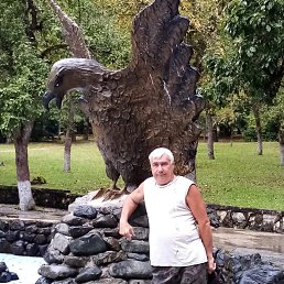 , 66 , 