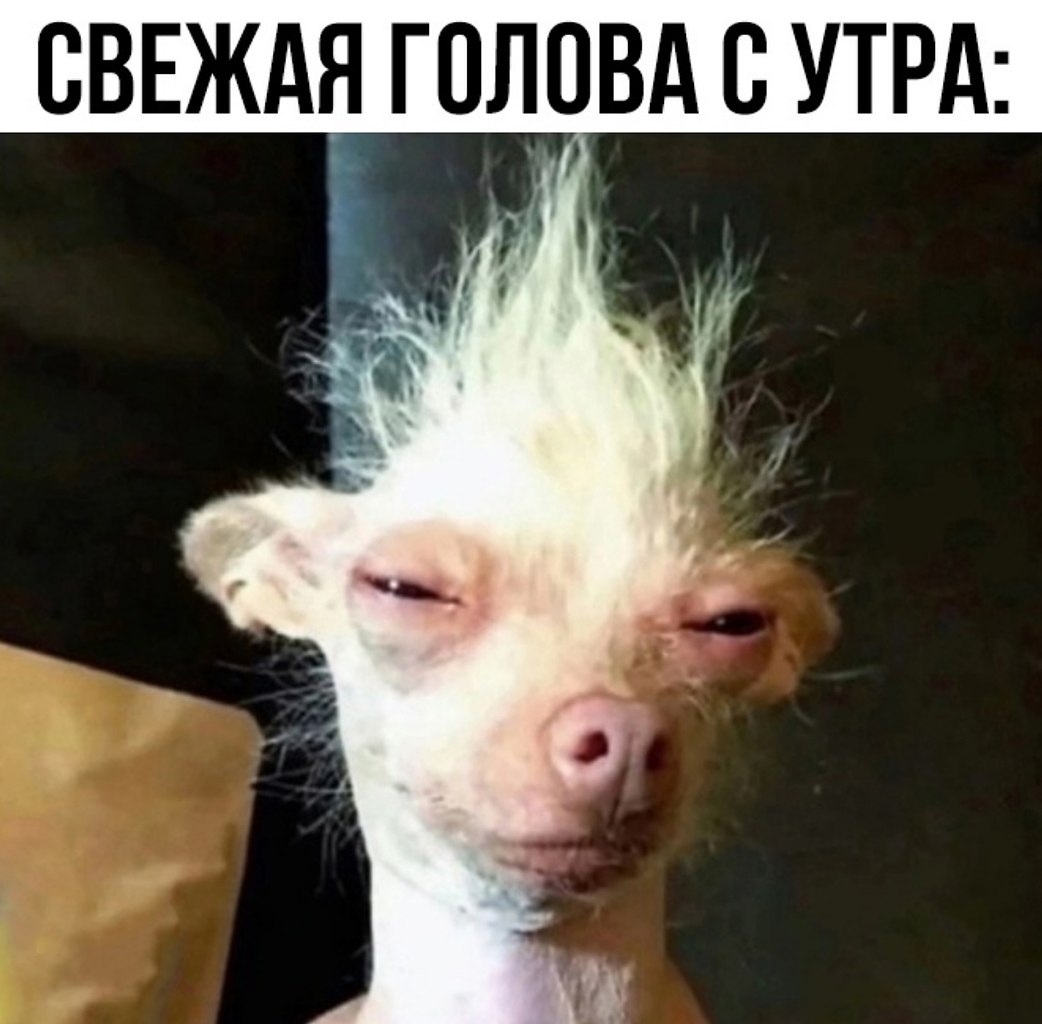 Да блин, емае - 2