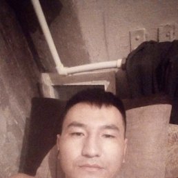 , 32, 