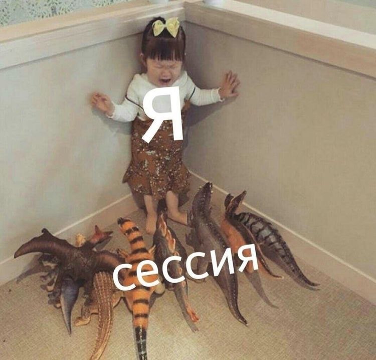    - 19  2024  23:19