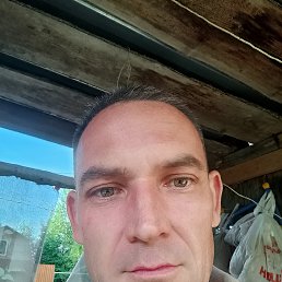 , 41 , 