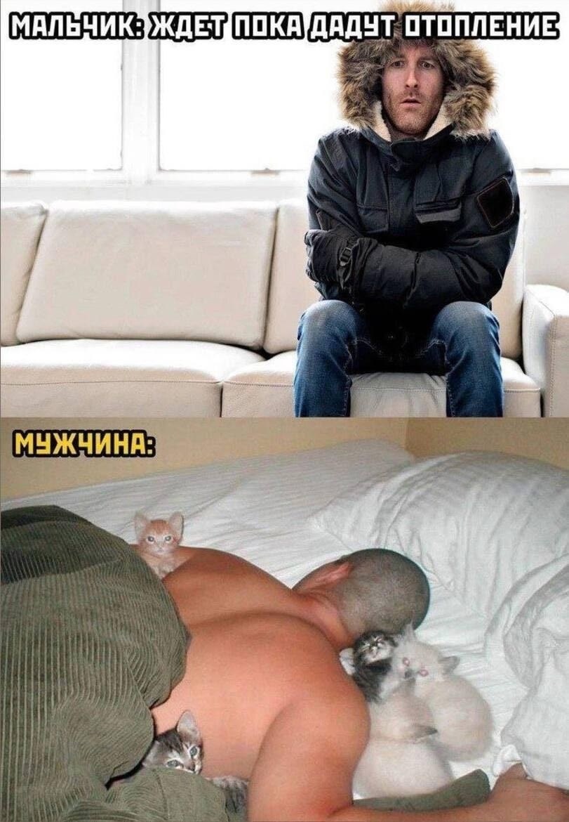 Геннадий - 17 октября 2025 в 16:39