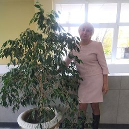 �������, �����������, 62 ����