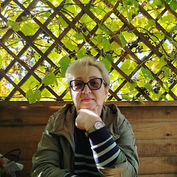 , 62, 
