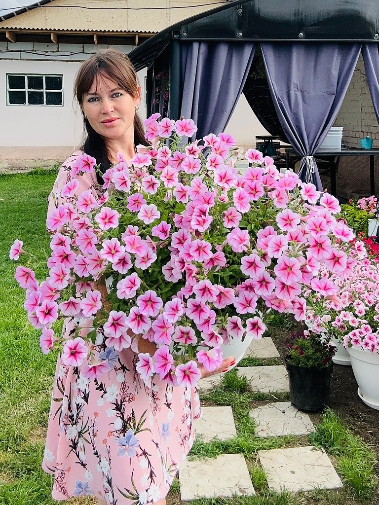 Подписывайтесь! Для тех, кто мечтает знать больше о петуниях. https://fotostrana.ru/away?to=/sl/0MJ6 - 3
