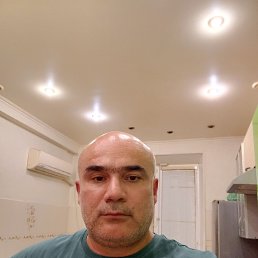 , 42, 