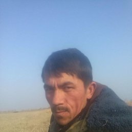 , 33, 
