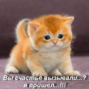 ���� ������ �������, ������, 64 ���� - ��������� 18 ���� 2026 � ������ ������ ��������