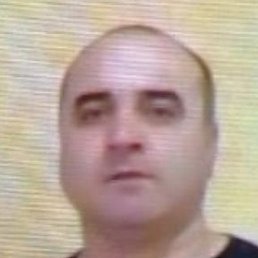 ����, ������� ��������, 49 ���