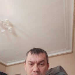 ����, 40 ���, ����������