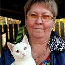 ���� ����, �����-���������, 66 ��� - ��������� 23 ������� 2025 � ������ ���� ����������