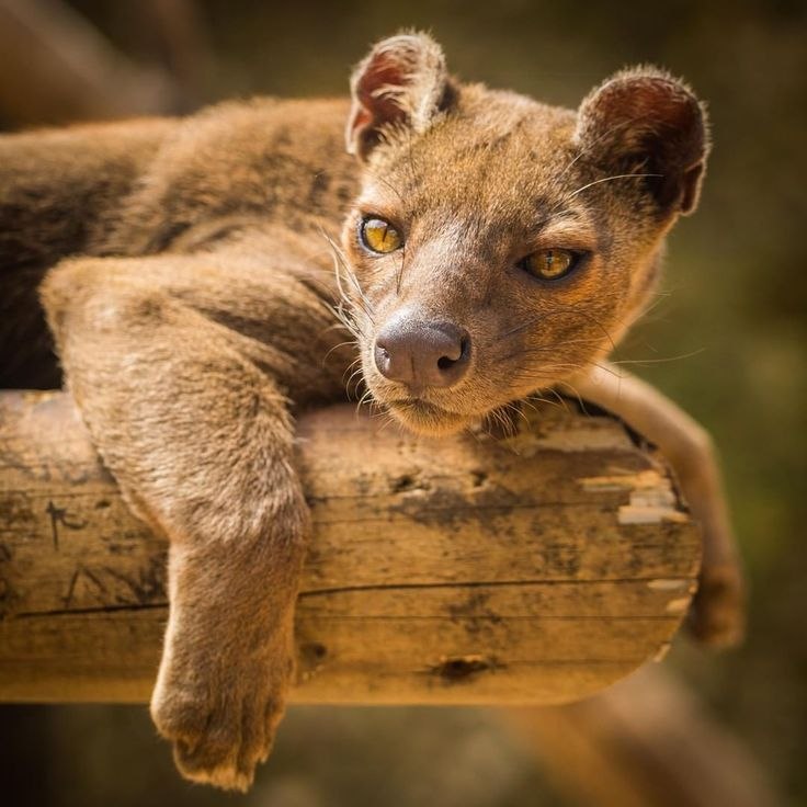 ! !     . ,  .      ...