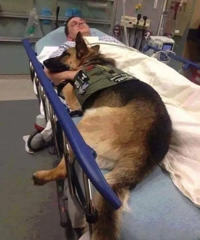 ,  ...