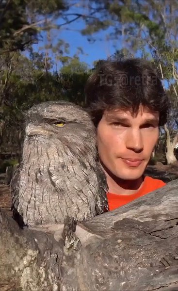 a opo  oa  ca cpa  cpa. ceoe pe co o eoo ...