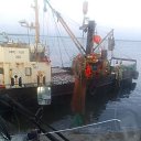 ���� ������, �����, 62 ���� - ��������� 10 ������ 2026