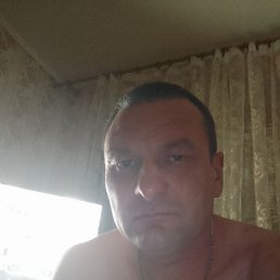 , 40, 