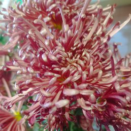 ���� ����, �����, 48 ��� - ��������� 21 ������ 2023