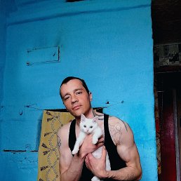 �����, 33 ����, ��������