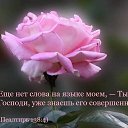 ���� �������, ���� - ��������� 11 ������� 2026 � ������ ������ ��������