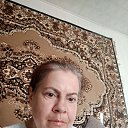 ���� �����, ��������, 41 ��� - ��������� 11 ���� 2024 � ������ ���� ����������