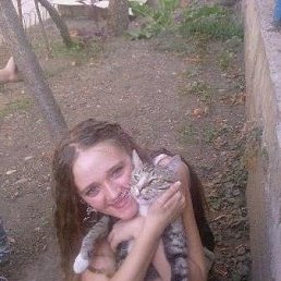 , 21, 