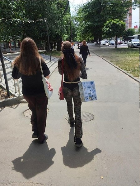 После прогулки с матерью, девушка борется с чувство стыда и совести. Все произошло из-за обычного ...