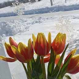  , , 19  -  17  2024