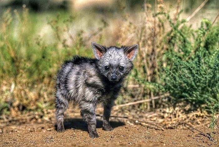 eo o pae  ceec eo. ee e opoae p o pa o. ... - 4