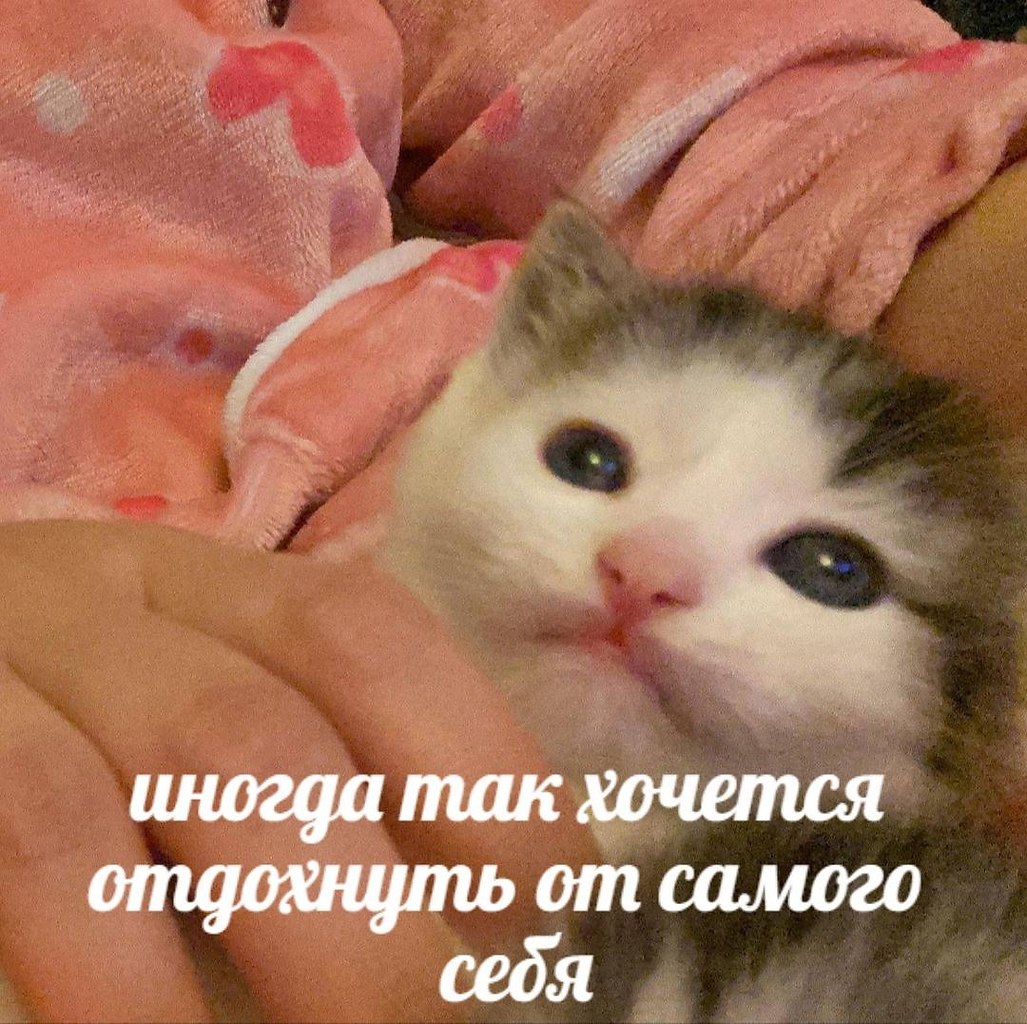   - 10  2024  14:33