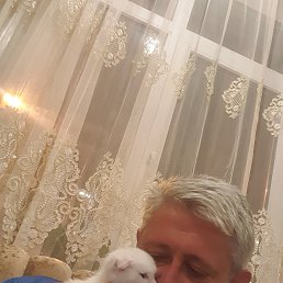 , 49, 