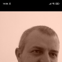 ������, �����, 50 ���