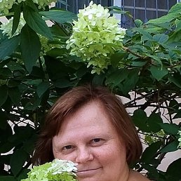 , 45, 