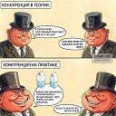 ���� ���������, �����, 48 ��� - ��������� 25 ������� 2026 � ������ ������ ��������