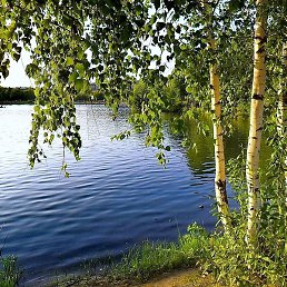 �����-��, ���������, 63 ����