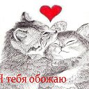 ���� �����, ����������� - ��������� 9 �������� 2024 � ������ ������ ��������
