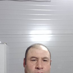 , 40, 