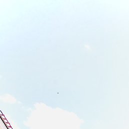 , -, 29 