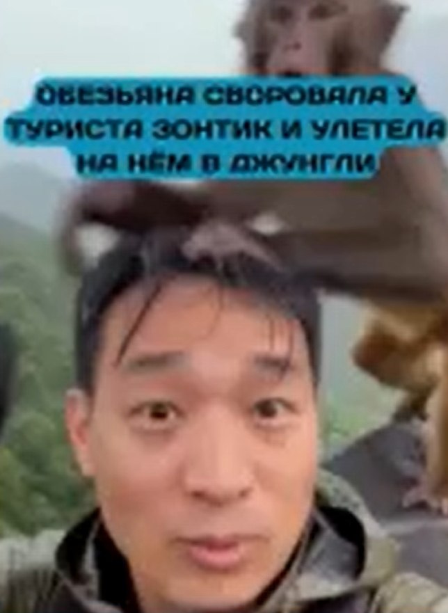 ea paa o  pca  eea a   .a apa o, a pa oo pae ...