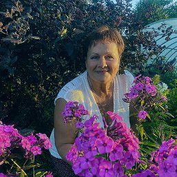 ., 65, 