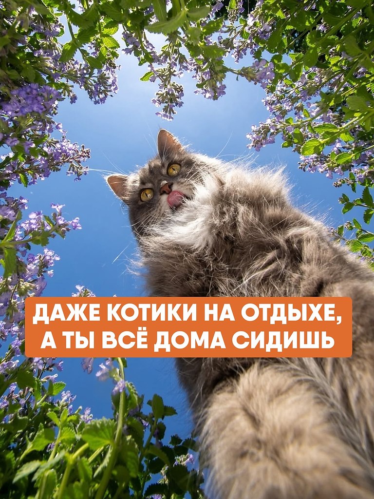         .        ...