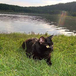 ����� ��� ����, �����