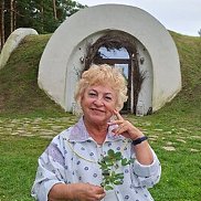 , 66 , 