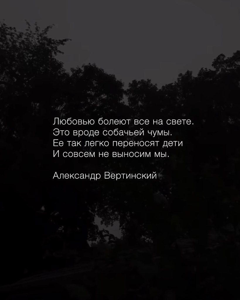   - 19  2025  20:53 - 7